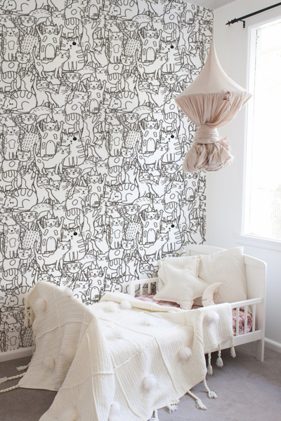 Fotótapéta Macska ország