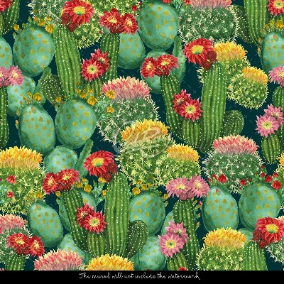 Fotótapéta Nagy kaktuszok