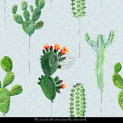 Fotótapéta Bájos kaktuszok