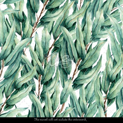 Fotótapéta Oleander levelek