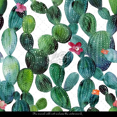 Fotótapéta Virágos kaktuszok