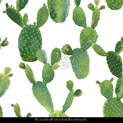 Fotótapéta Vadászat a trópusi kaktuszok számára