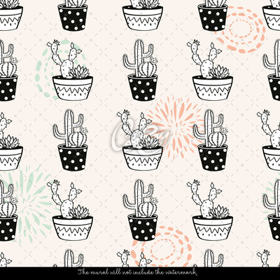 Fotótapéta Vidám kaktuszok edényekben