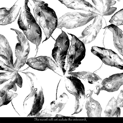 Fotótapéta Fekete-fehér levelek