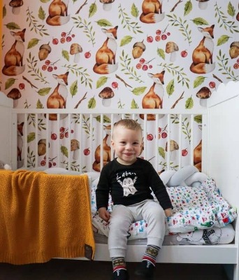 Fotótapéta Ryšpy rókák egy tisztításra