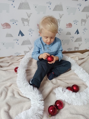 Fotótapéta Bivak az erdőben tele állatokkal