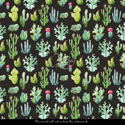 Fotótapéta Apró kaktuszok fekete háttéren