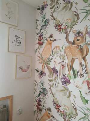 Fotótapéta Lenyűgözött erdő