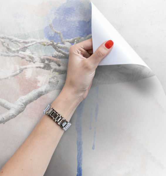 Fotótapéta Madárbeszélgetés