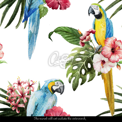 Fotótapéta Lusta papagájok a virágok között