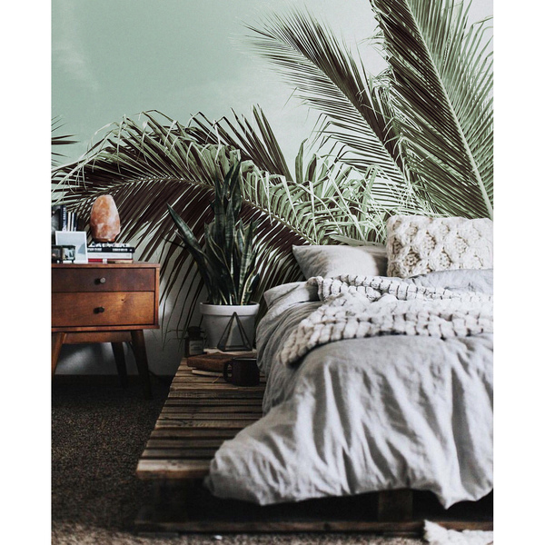 Fotótapéta Palma itt nő