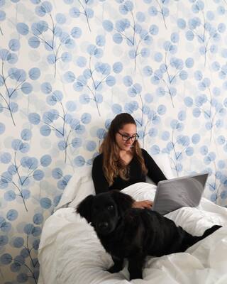 Fotótapéta Gyapot mező