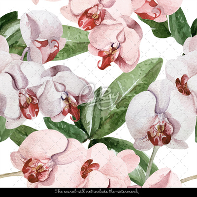 Fotótapéta Rózsaszín orchidea