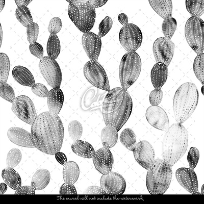 Fotótapéta Szürke kaktuszok