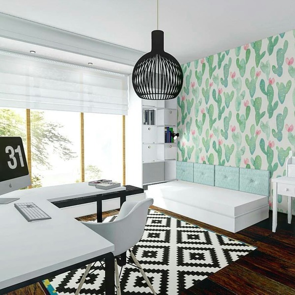 Fotótapéta Kaktuszok tövis nélkül