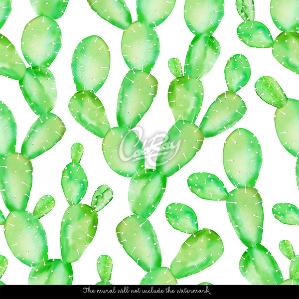 Fotótapéta Zöld kaktusz