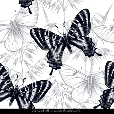 Fotótapéta Elegáns fekete pillangók