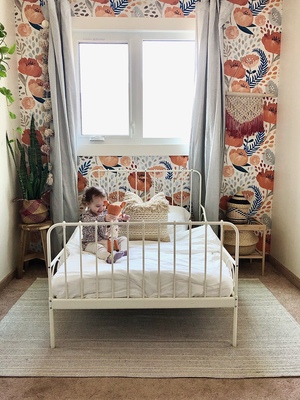 Fotótapéta Orange Wolf Poppies