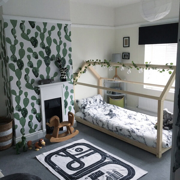 Fotótapéta Kaktusz kép