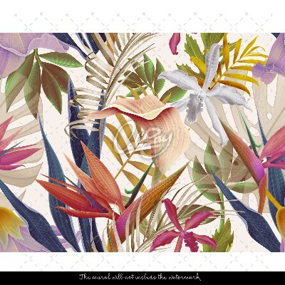 Fotótapéta Egzotikus szivárvány