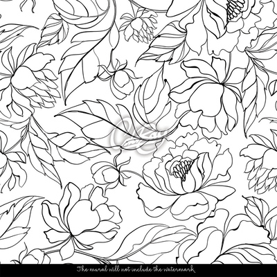 Fotótapéta Peonies a kertben