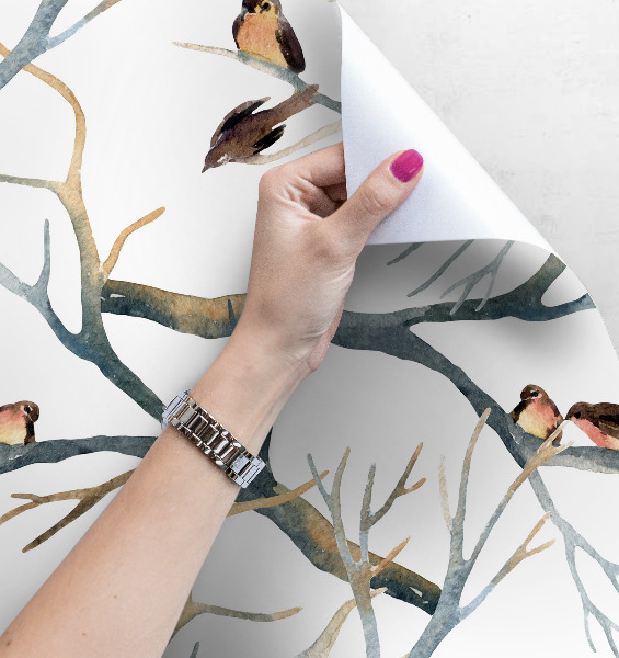 Fotótapéta Vereszek az ágakon