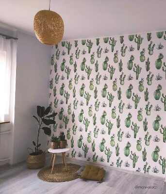 Fotótapéta Kaktuszmező