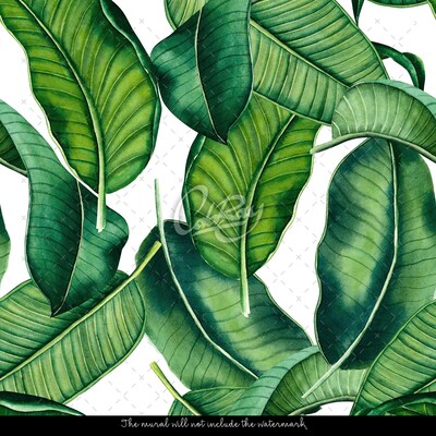 Fotótapéta Juicy zöld banán levelek