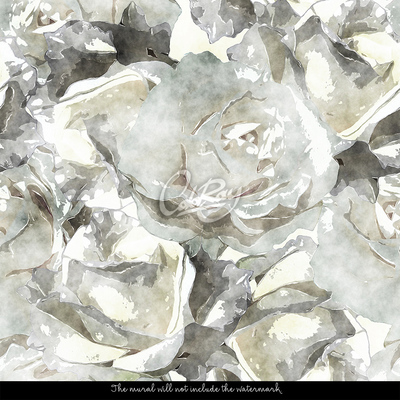 Fotótapéta Absztrakció a fehér rózsák témáján