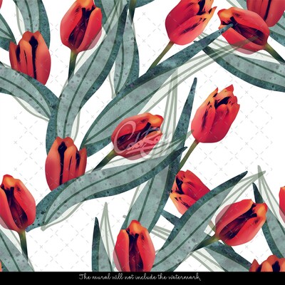 Fotótapéta Bájos tulipánok