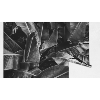 Fotótapéta Pihenjen az óriási levelek árnyékában