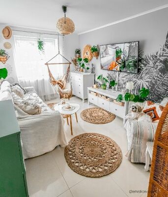 Fotótapéta Növekszik a pálmafa?