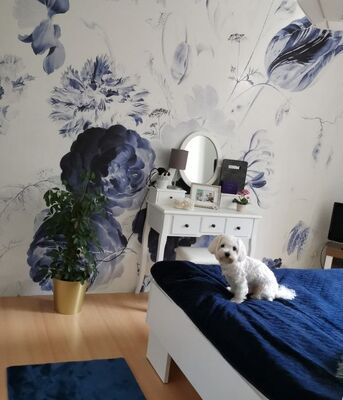 Fotótapéta Királyi gránát