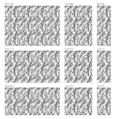 Trópusi levelek Ablaküveg fólia belátásgátló