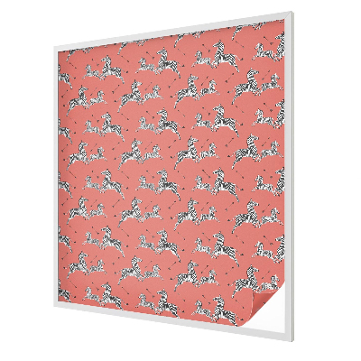 Zebra motívum Belátásgátló fólia ablakra