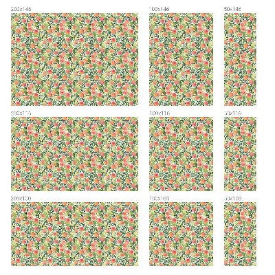 Gyümölcsminta Üvegfólia ablakra