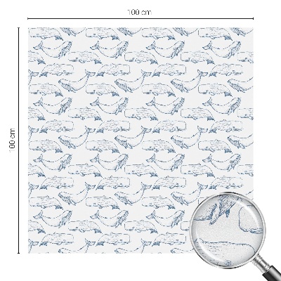 Tengeri inspirációk Üvegfólia ablakra