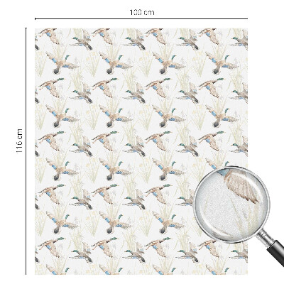 Madarak természet Üvegfólia ablakra