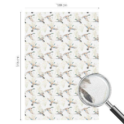 Madarak természet Üvegfólia ablakra