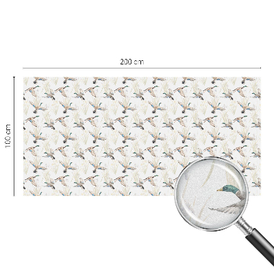 Madarak természet Üvegfólia ablakra