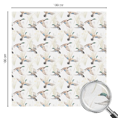 Madarak természet Üvegfólia ablakra