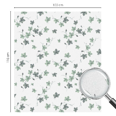 Zöld szőlő Ablaküveg fólia belátásgátló