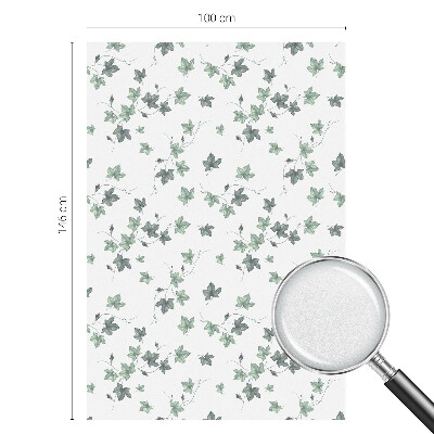 Zöld szőlő Ablaküveg fólia belátásgátló