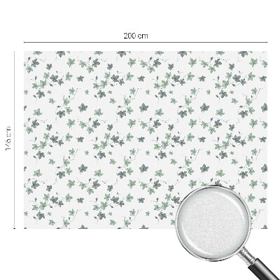 Zöld szőlő Ablaküveg fólia belátásgátló