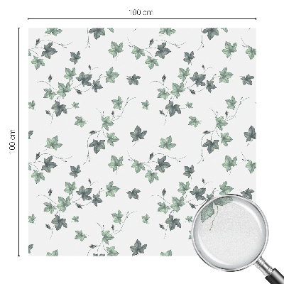 Zöld szőlő Ablaküveg fólia belátásgátló