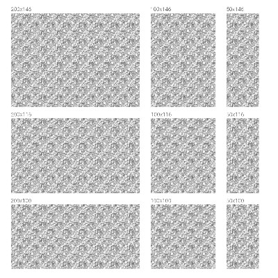 Klasszikus portrék Üvegfólia ablakra