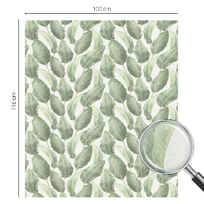 Zöld levelek Belátásgátló fólia ablakra