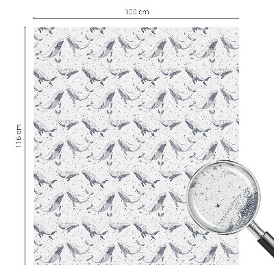 Tengeri élőlények Üvegfólia ablakra