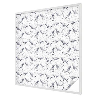 Tengeri élőlények Üvegfólia ablakra