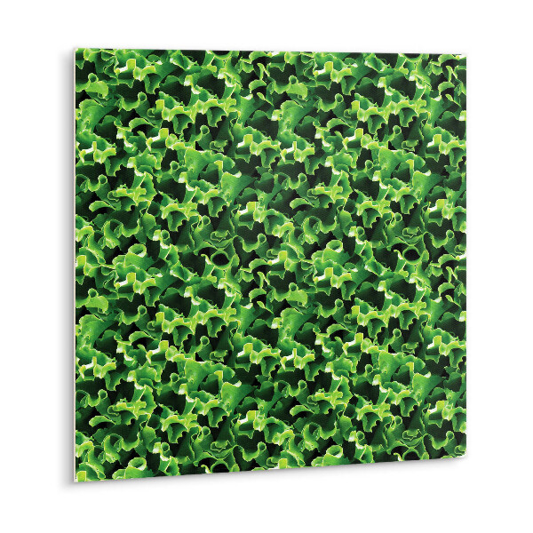 Öntapadós vinyl csempe Zöld saláta levelek